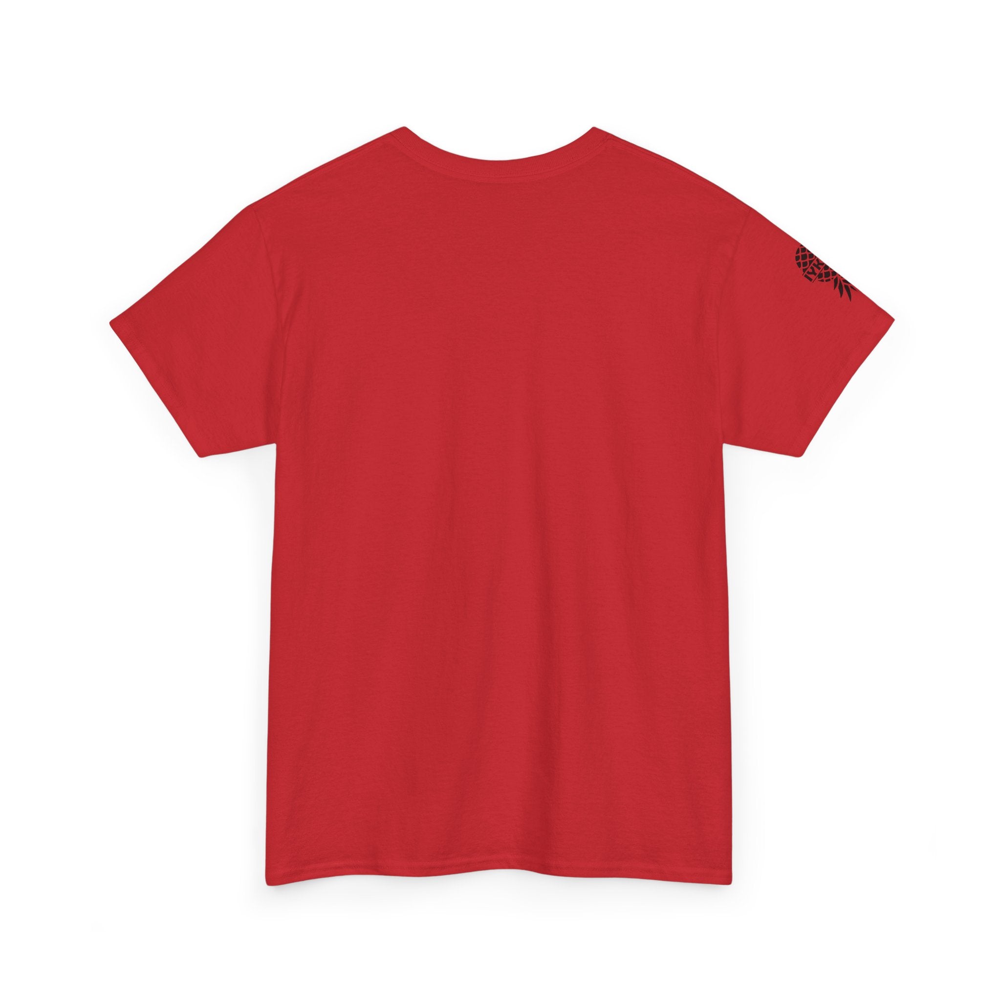 Plays Well With Others Unisex Heavy Cotton Tee - Fun Casual Shirt for Social Gatherings