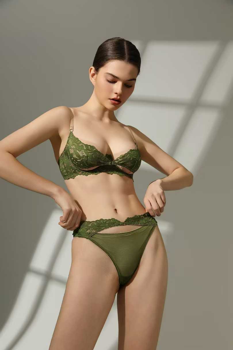 Sexy Lace Underwear  Ultra-thin Embroidered Large Bust Minimizer Push-up Bra Cross-border Bra Set