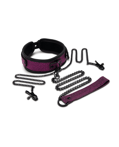 Black and purple dog training collar with chain and leash on a white background